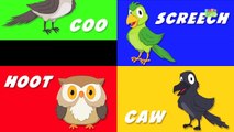 Animal Sound Song | These Are The Sounds That Animals Make |Rhymes By PlayTime