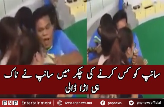 D-snake bites woman on the face after she tries to KISS it | PNPNews.net