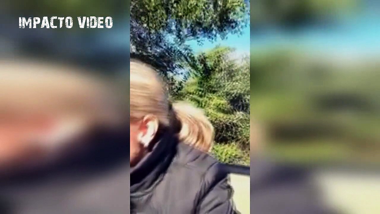Animal Attacks Compilation 17
