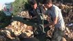 حماة: الفرقة الأولى الساحلية في الجيش السوري الحر تدمر دبابة للنظام في حاجز الزراعة بصاروخ