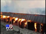 Massive fire in Rojkot's temple fodder storehouse - Tv9 Gujarati