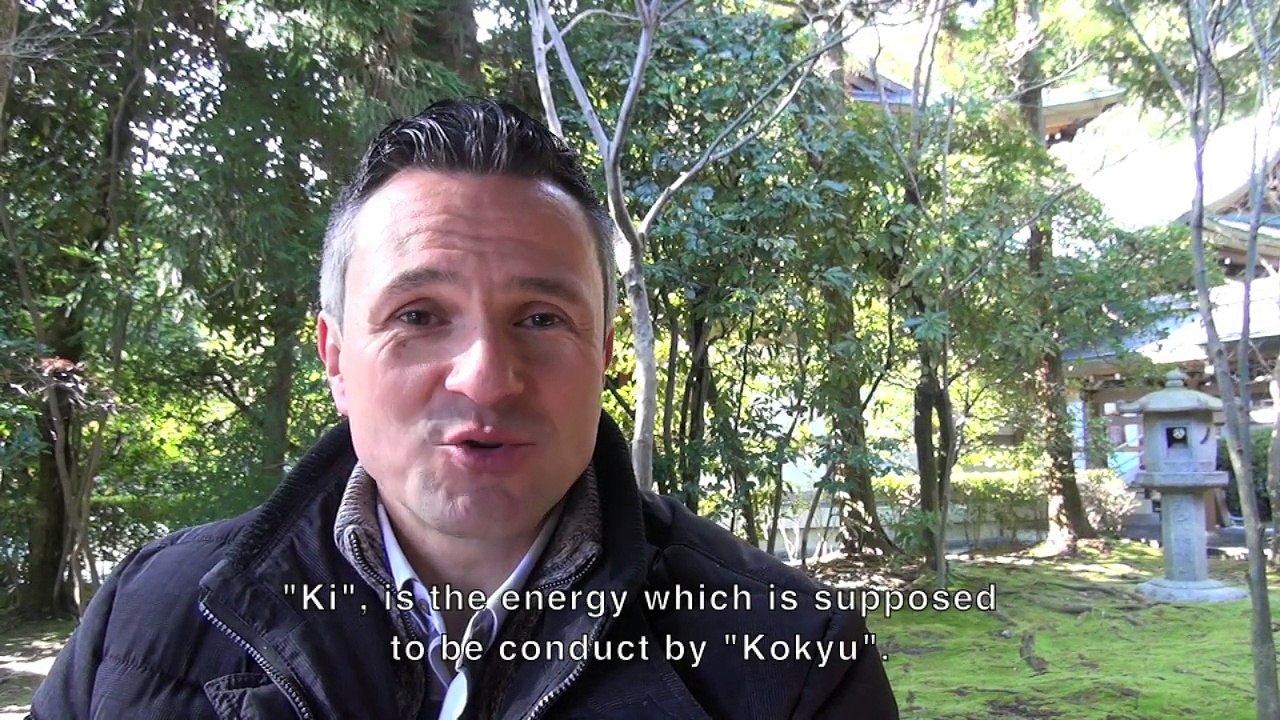 The Aikido Notebooks with Michel Erb Sensei Part 20 Kokyu Ho and Ki