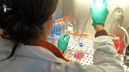 Rennes : Pourquoi cette étude et à quoi sert la molécule testée?