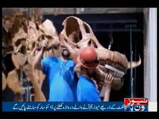 World's biggest dinosaur skeleton unveiled in New York