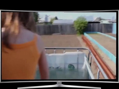 2016 Cat Loves To Swim Funny Cat Vidios Funny Animals Video New