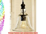 Vintage Pendant Light antique Glass Shade