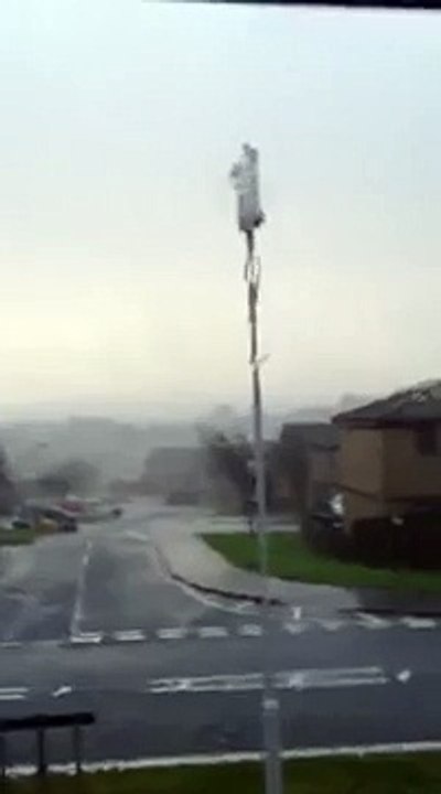 23. TRAMPOLINE TRAMPOLINE (CRAZY WINDS)