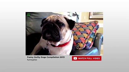 I Like To Watch With Pete Holmes (FULL HD)