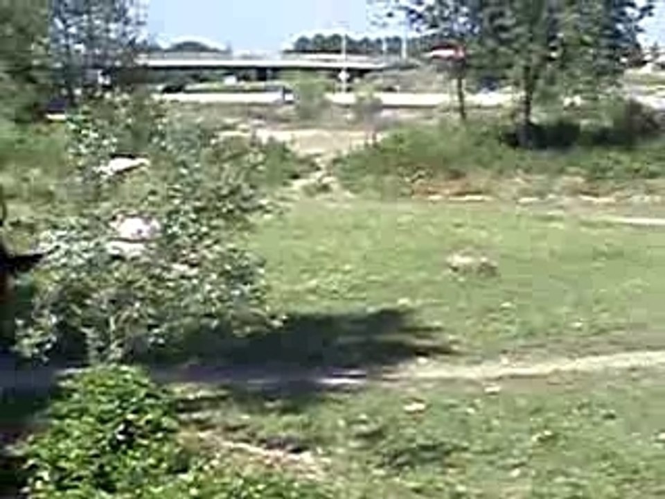 P5200080
