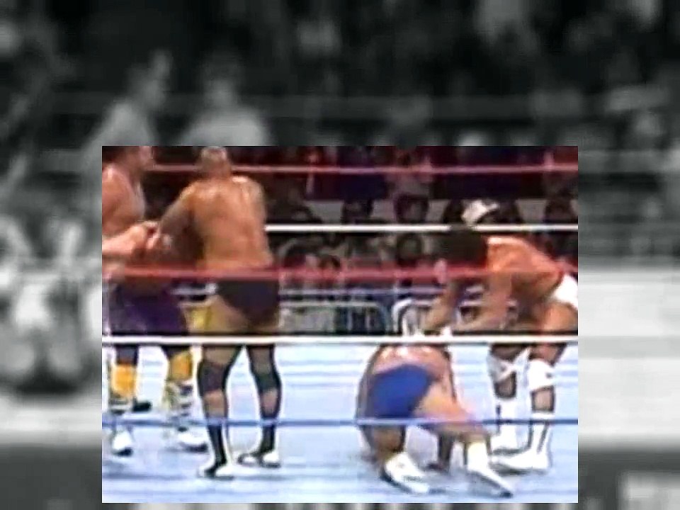 WWE 1989