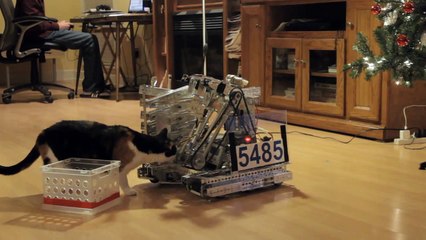 Funny Moments _ Funny cats Robots