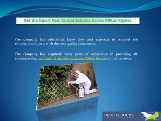 Get the Expert Pest Control Solution Across Milton Keynes