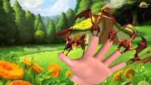 Dragon Finger - Family Nursery Children | 3d English Rhymes   Animated Finger kids songs