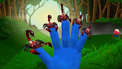 Crab Vs Scorpion Cartoon Fighting And Singing Finger Family Children Nursery Rhymes | Epic