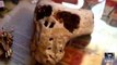 Alien Or Demon Skulls Found In Russia? Hitler May Have Been Involved. (Alien Mysteries)