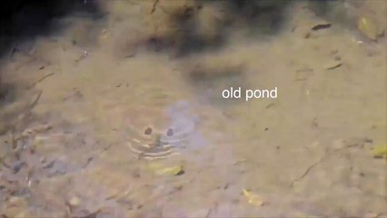 3D printed haiku is only visible through water shadow