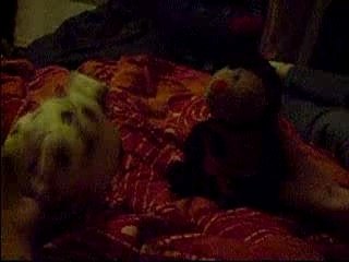 Combat COCCINOU VS ZOUBIDOU