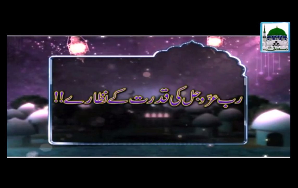 Rab Ki Qadar kay Nazare - Haji Abdul Habib Attari - Short Bayan