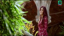 Fitoor | Official Trailer | HD 1080p | Aditya Roy Kapur-Katrina Kaif | Latest Bollywood Movie Trailer 2016 | Maxpluss Total | Latest Songs