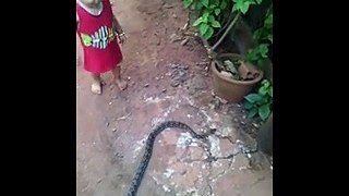 Small Baby Playing With Snake