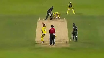 Best Catches in Cricket History! Best Acrobatic Catches!  (10)