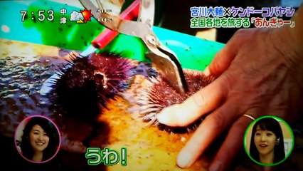 宮川大輔×ケンドーコバヤシのあんぎゃー　配信開始！！ 新しい スーパー