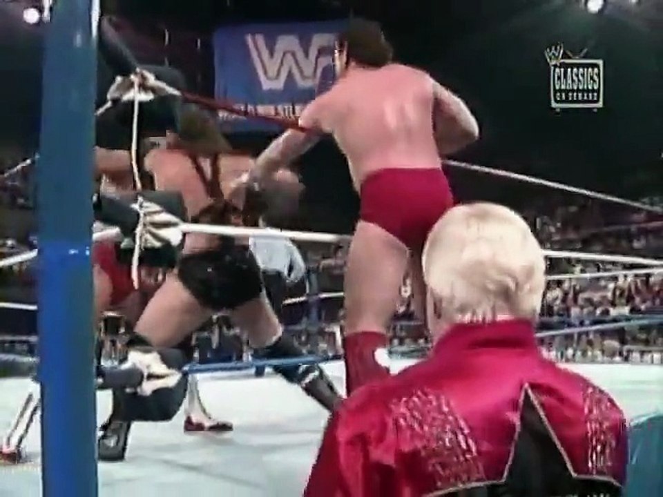 Tag Titles   Brain Busters vs Demolition   SuperStars Nov 4th, 1989