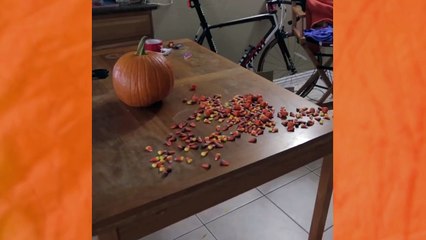 When you eat too Much Halloween Candy