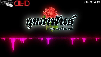 [บันทึกเสียงการแสดงสด] วง กุมภาพันธ์ จ.ชัยภูมิ