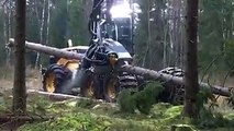 Dev ağaçları kısa sürede kesip biçen canavar makine.