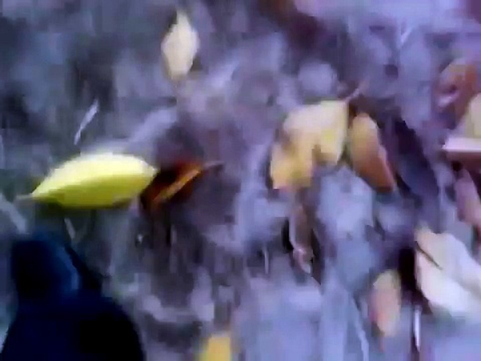 Faisalabad Girl Dating-Dating in Faisalabad Park