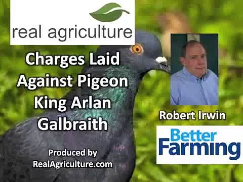 10 Completely Bizarre Crimes Involving Animals