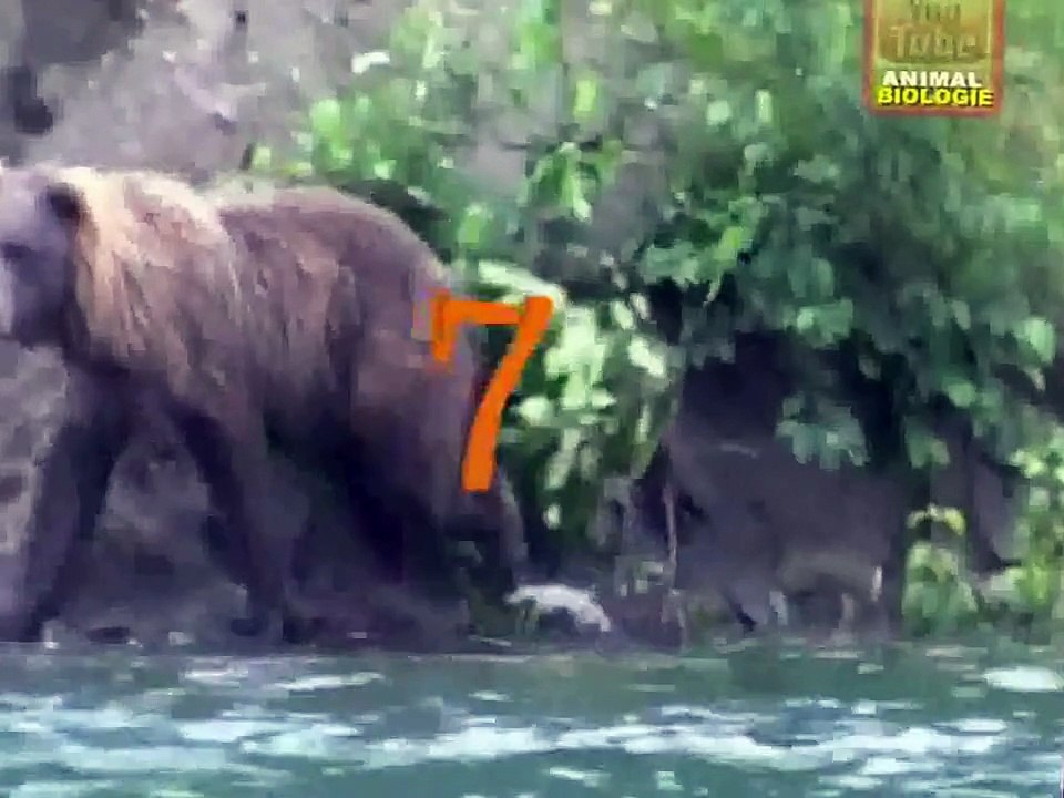 Kartalın Müthiş Avı