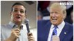 Donald Trump Revels ‘Birther’ Suit Against Ted Cruz ‘I Told You So’