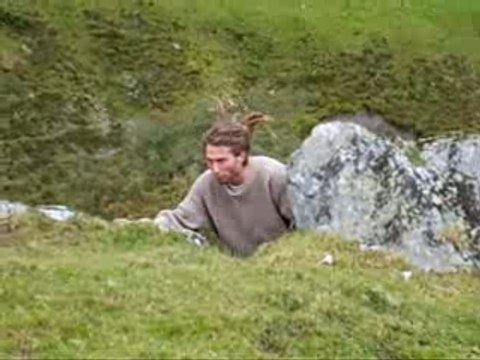 Le cerf de pyrénées