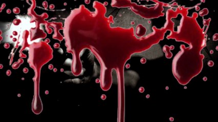 HISTORIA DE TERROR REAL (CAPITULO 16) EL CURA FALSO