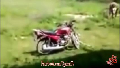 Today added a new video.