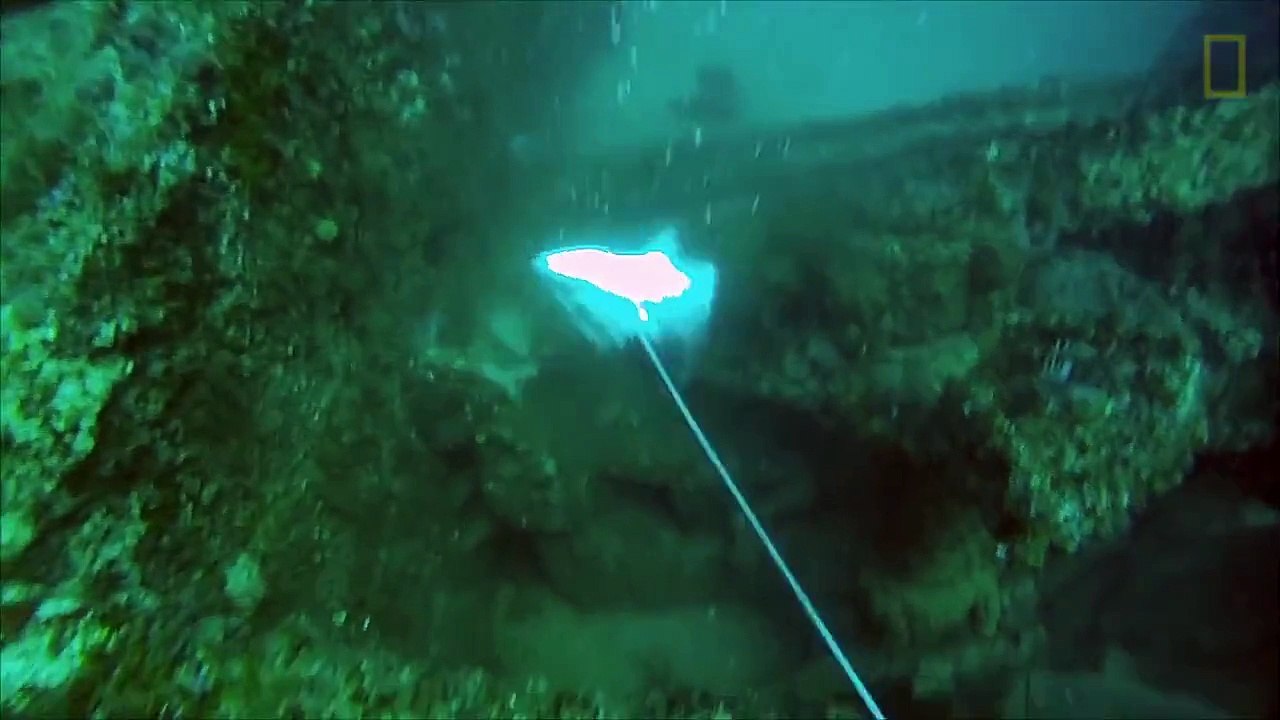 Huge Fish Drags Fisherman Around After Stealing His Catch