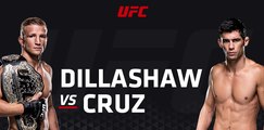 UFC Fight Night 81 TJ Dillashaw vs Dominick Cruz Embedded