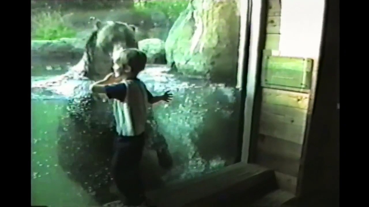 Kids At The Zoo