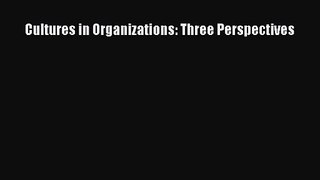 Download Cultures in Organizations: Three Perspectives Ebook Online