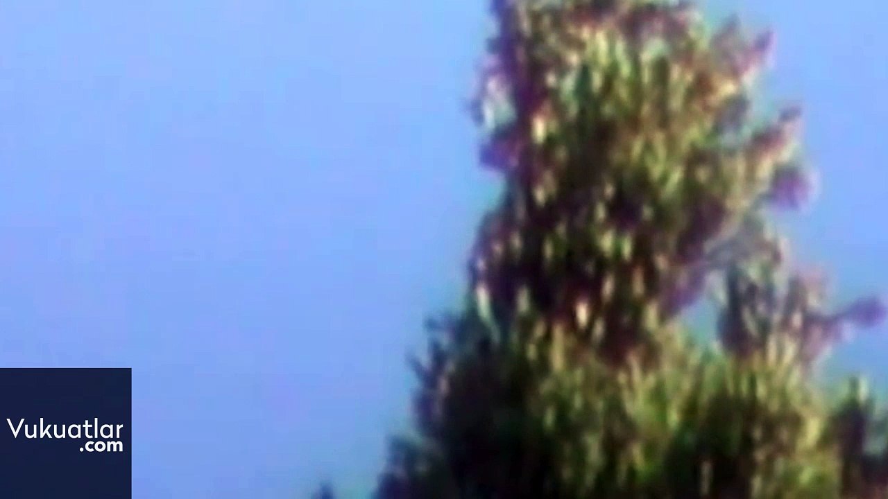 Mexico UFO Sighting - Meditating form in UFO