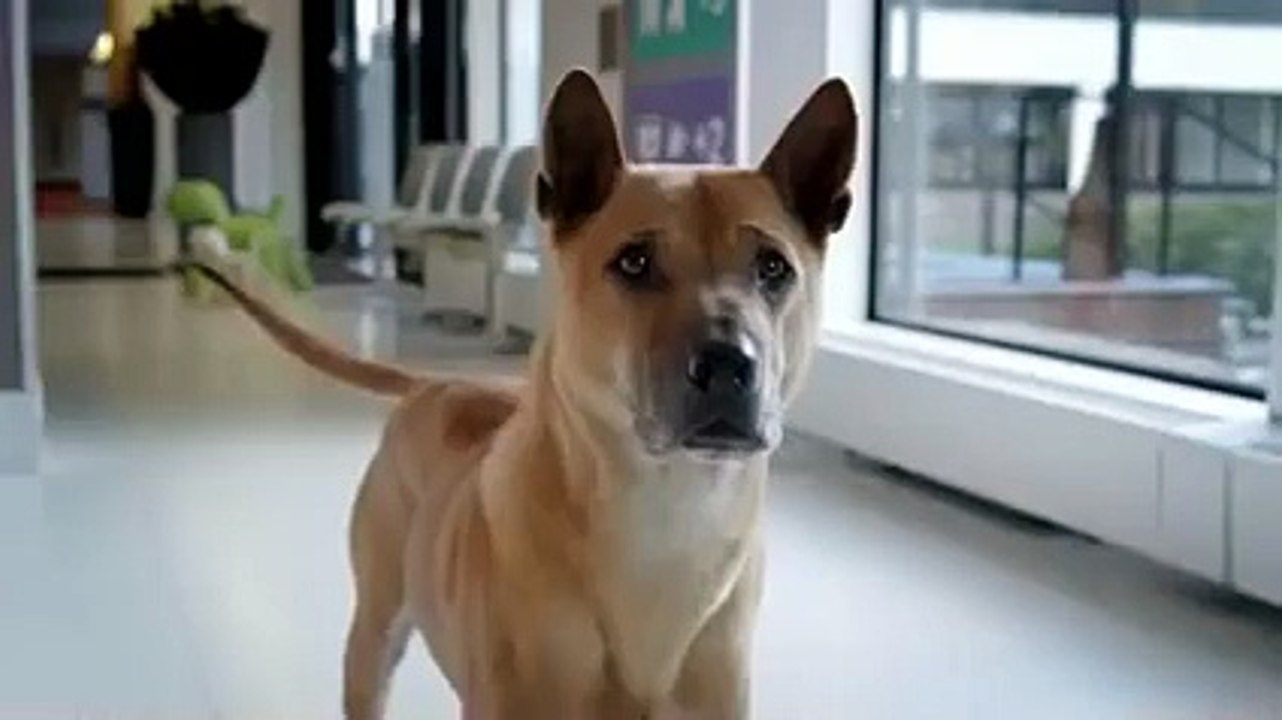 Awesome ! This will warm your heart