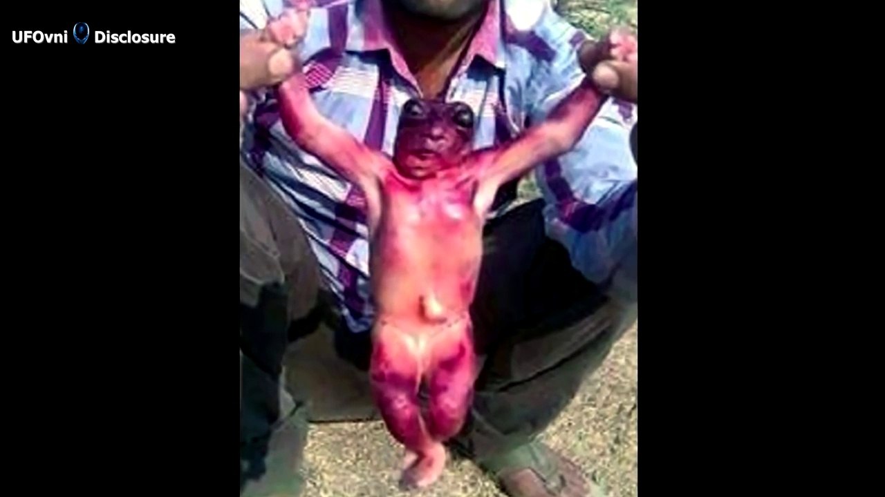 Hybrid goblin found in India