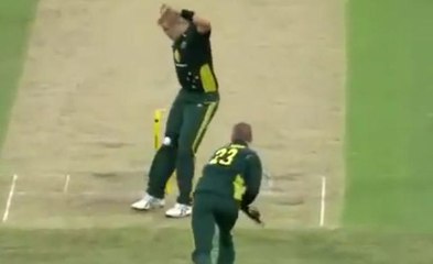 Only person who can be out LBW while fielding