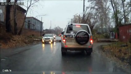Russian Crash Video | A Tree fell on car