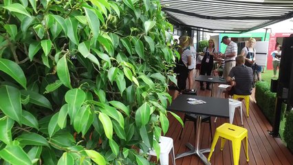 Thiem & Pavlyuchenkova get behind the grill at McDonald’s | Brisbane International 2016