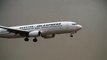 Storm!! JAL Boeing 737-800 Go Around & Crosswind Landing at Narita Big Planes