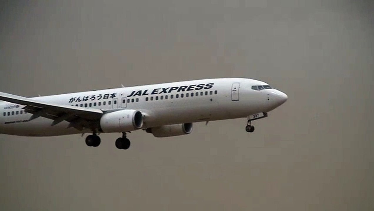 Storm!! JAL Boeing 737-800 Go Around & Crosswind Landing at Narita Big Planes