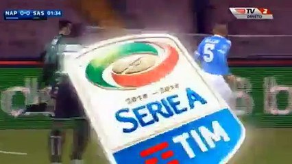 Diego Falcinelli Goal - Napoli 0-1 Sassuolo Serie A 16-01-2016
